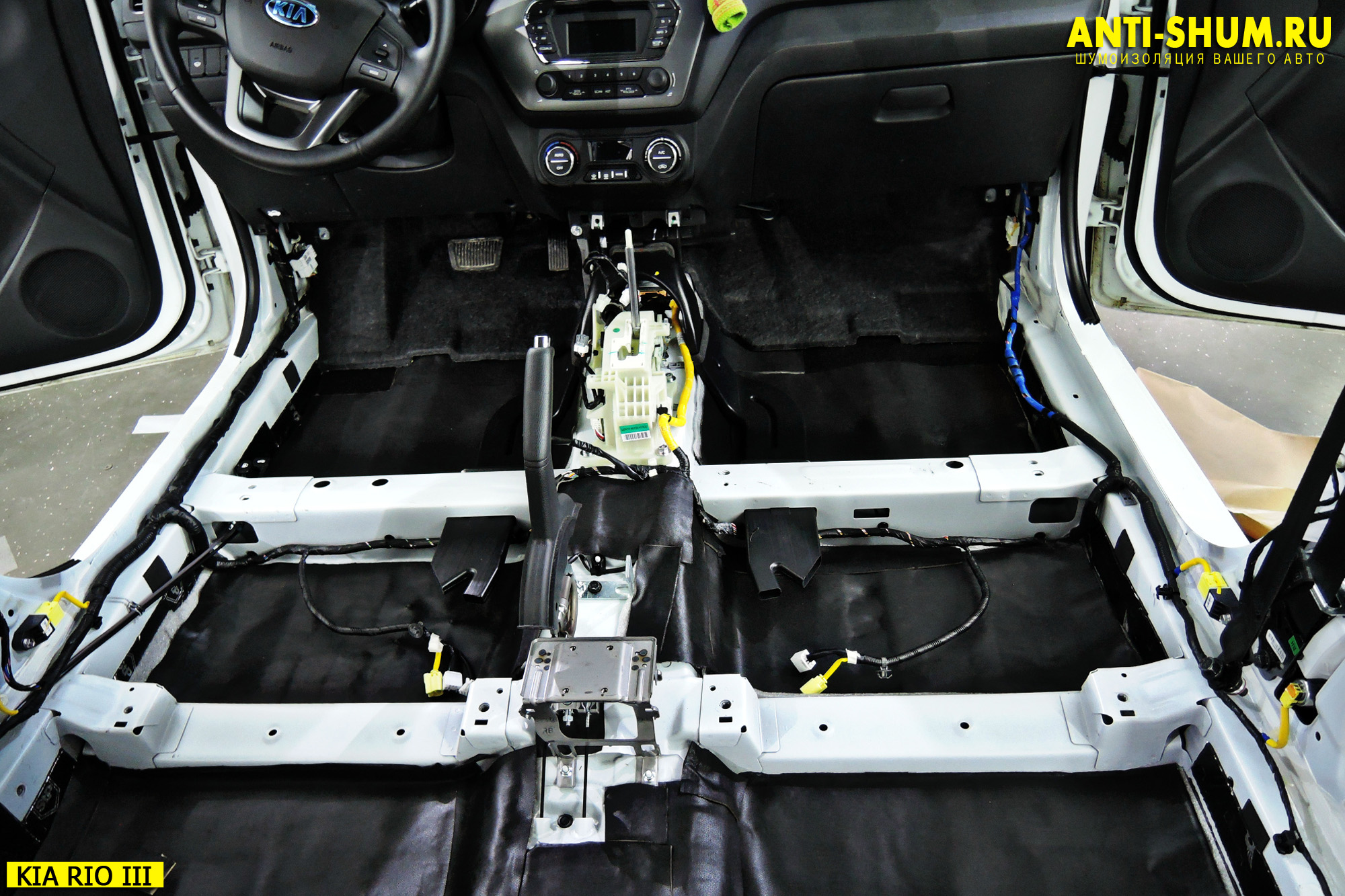   Kia Rio     -       